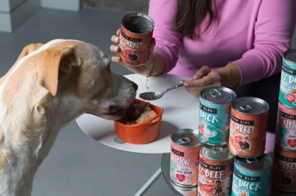 A woman in a pink sweater feeds a dog wet food from a can, with several cans of different flavors stacked on a white table.