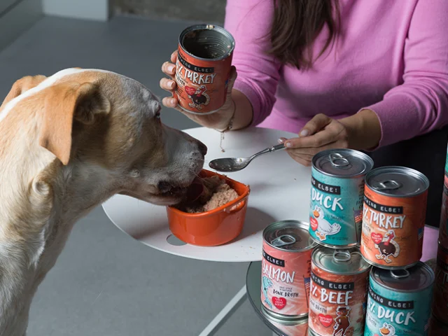 A woman in a pink sweater feeds a dog wet food from a can, with several cans of different flavors stacked on a white table.