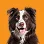 dog icon
