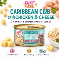 A can of Caribbean Club with Chicken & Cheese cat food is shown, featuring images of chicken, cheese, and highlights like hand-shredded meat and dinner in gravy.