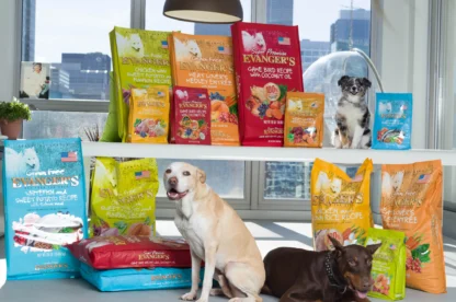 Three dogs sit in front of a display of various bags of Evanger's dog food, arranged on shelves and the floor in a bright room with large windows.