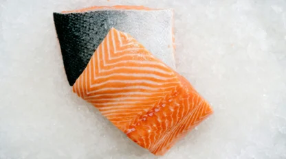 A raw salmon fillet with skin rests on a bed of crushed ice.