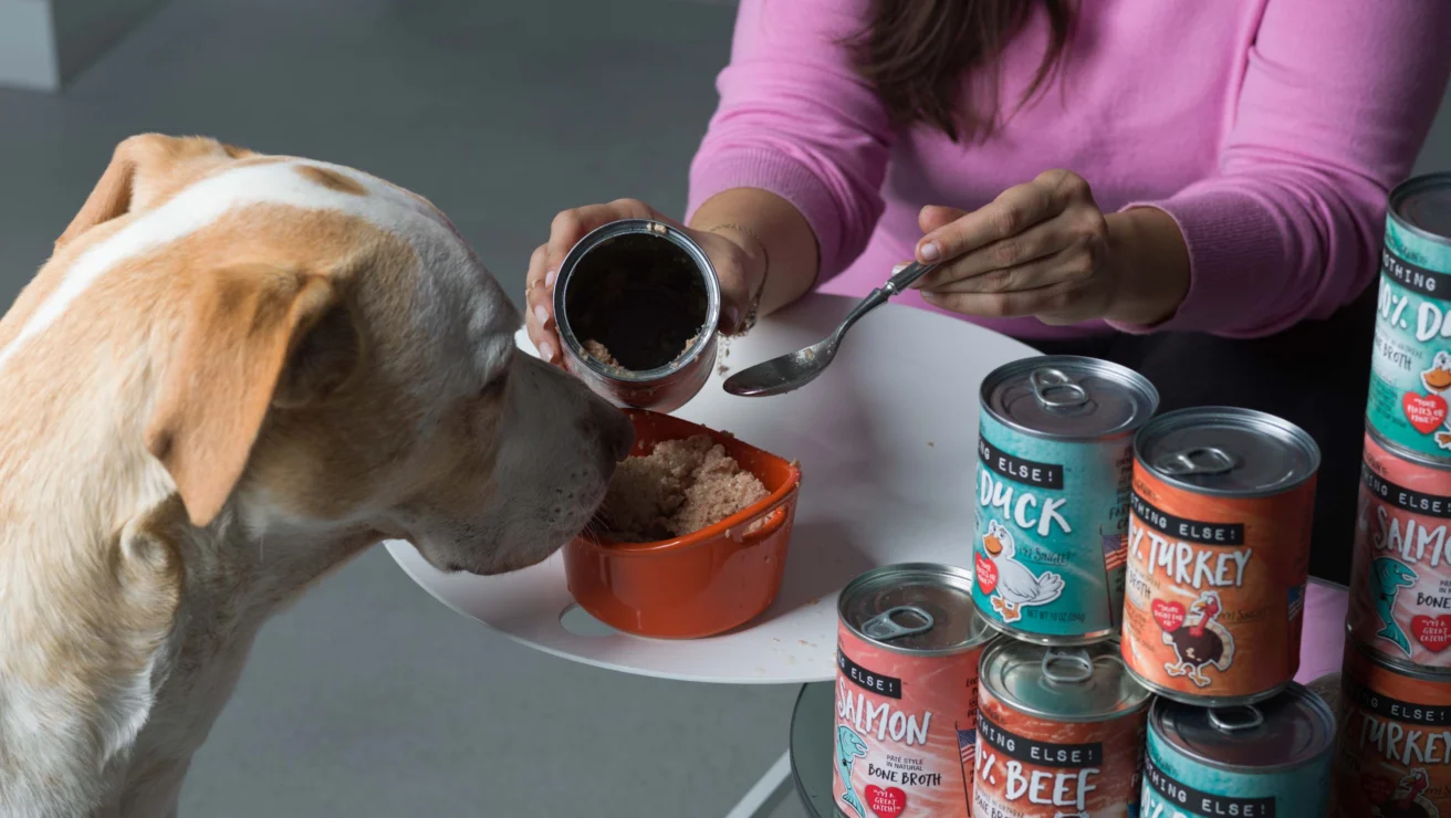 A person in a pink sweater serves canned dog food into a bowl for a dog, with various canned dog food flavors displayed nearby.