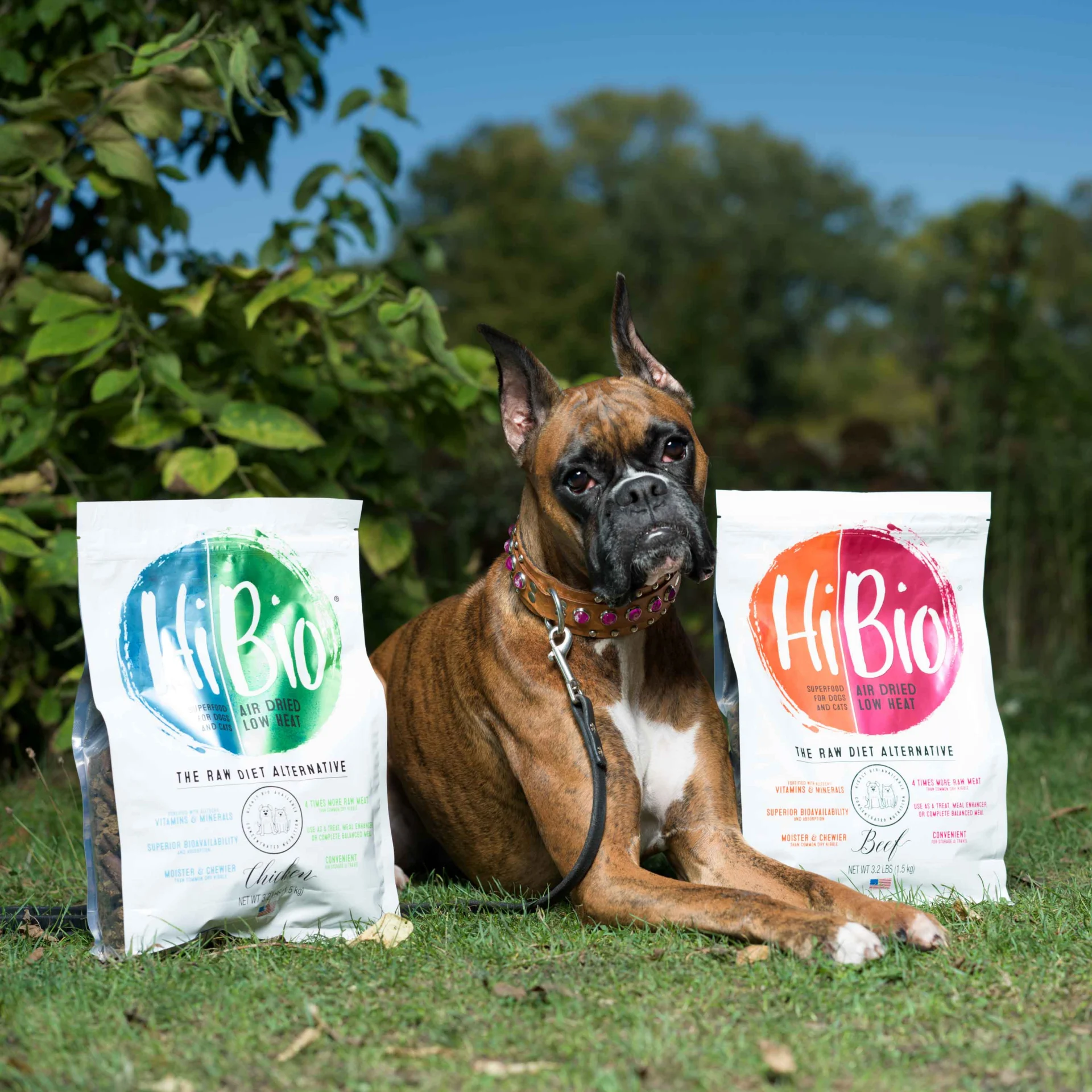 A brown boxer dog sits on grass between two bags of HiBio pet food, with green plants and a blue sky in the background.
