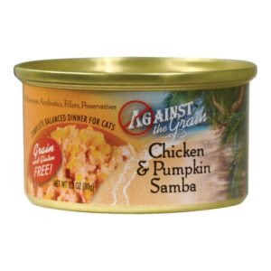 Chicken & Pumpkin Samba